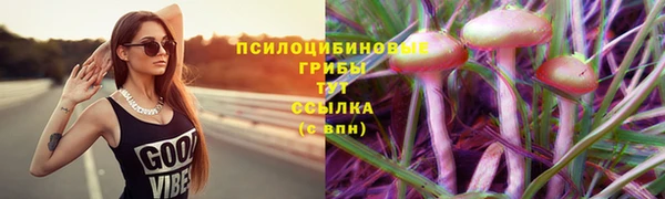 PSILOCYBIN Сосновоборск