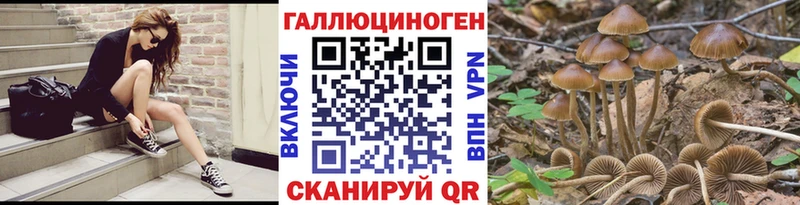 Псилоцибиновые грибы MAGIC MUSHROOMS  Купить где  Омск 